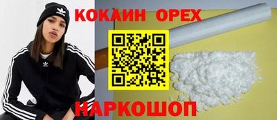 амф Дубна
