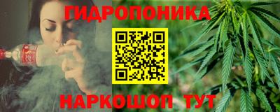 амф Дубна