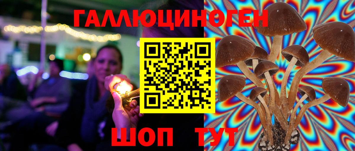 Галлюциногенные грибы Magic Shrooms Реутов